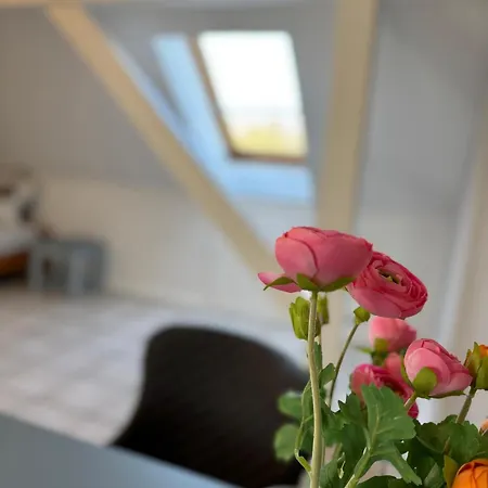 Buschhaus Whg 1 Appartamento *